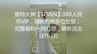 推特大神【SEVEN】388人民币VIP，调教约啪多位女奴，完整福利一网打尽，最新流出佳作 (3)