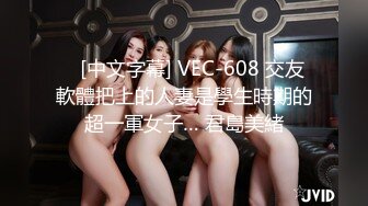    [中文字幕] VEC-608 交友軟體把上的人妻是學生時期的超一軍女子… 君島美緒