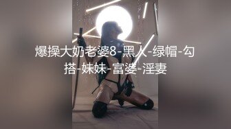 女友高清系列（第二部）