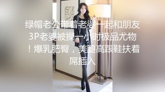 STP18022 极品车模女神降临，美腿黑丝翘乳，温柔可人物超所值