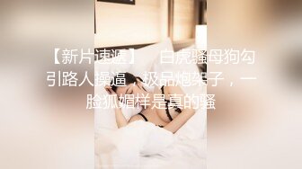 兔子先生TZ-141长腿女房客的诡计