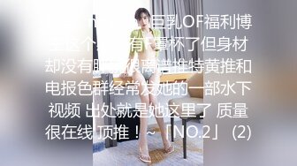 泰国⭐npxvip⭐巨乳OF福利博主这个感觉有F罩杯了但身材却没有胖就很离谱推特黄推和电报色群经常发她的一部水下视频 出处就是她这里了 质量很在线 顶推！~「NO.2」 (2)