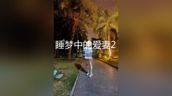 睡梦中的爱妻2