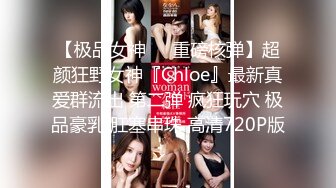 你的女神有钱人的母狗，推特金主【优雅金领S】，有钱又会玩女，各种拜金外围女模臣服屌下，露出调教啪啪让人羡慕 (7)