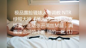 极品露脸骚婊人妻调教 NTR绿帽大神『吊大的一批』分享娇妻，主动张开黑丝M腿，满嘴淫语呻吟不断 骚的一批 (1)