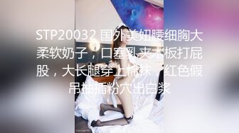 【最新封神极品乱伦】嫂子是个反差婊-把骚货嫂子拉进卫生间插到腿软 从发情到哀求 操到娇喘不止