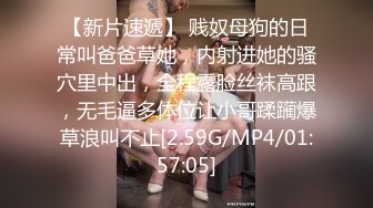 男主调教母狗女仆