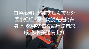 极品 女神 有钱人的鸡巴套子