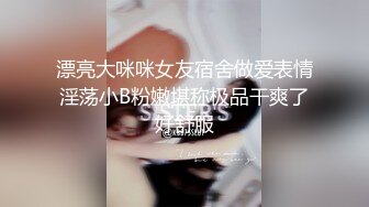 星空傳媒XKTC023隔壁大胸教師分手我用大屌安慰