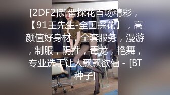 [2DF2]新晋探花首场精彩，【91王先生-全国探花】，高颜值好身材，全套服务，漫游，制服，阴推，毒龙，艳舞，专业选手让人飘飘欲仙 - [BT种子]