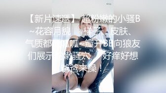 大奶性感欧美女优 La Sirena 大合集【32V】 (8)