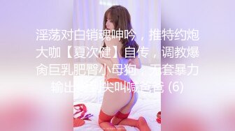 淫荡对白销魂呻吟，推特约炮大咖【夏次健】自传，调教爆肏巨乳肥臀小母狗，无套暴力输出肏到尖叫喊爸爸 (6)