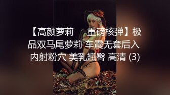 【高颜萝莉❤️重磅核弹】极品双马尾萝莉 车震无套后入 内射粉穴 美乳翘臀 高清 (3)