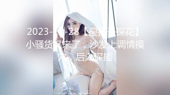 【三级】《女优试镜会》