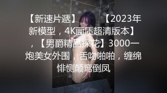 商业女间谍苏小小