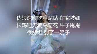 023 重庆江北 小绵羊