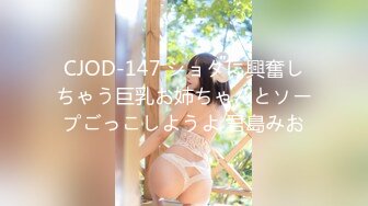 潘娇娇 - NO.010 野外车震 (3)