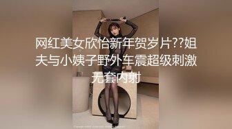 网红美女欣怡新年贺岁片??姐夫与小姨子野外车震超级刺激无套内射