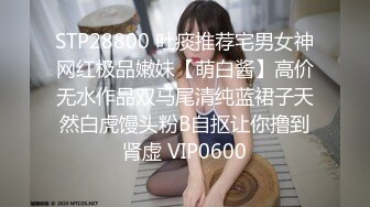 小凤新婚下集MDSR-0006-2高冷新妻性奴调教