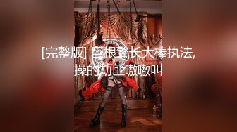 性感黑丝女秘书的特殊服务 ▌阿蛇姐姐▌