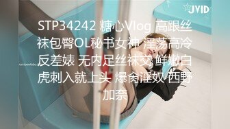 【YZWCD】YD030公主裙蓝内美女！专心自拍不知镜头贴到脸！