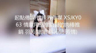 起點傳媒 性視界傳媒 XSJKY063 情趣用品推銷員的肉棒推銷 羽芮(壞壞 林沁兒 芳情)