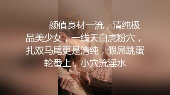 云盘泄密 口活不错的黑丝淫浪美女小姐姐，表里不一极度反差