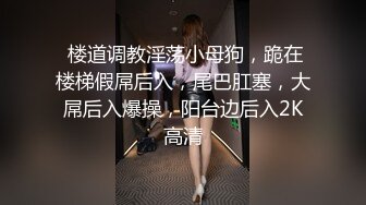  楼道调教淫荡小母狗，跪在楼梯假屌后入，尾巴肛塞，大屌后入爆操，阳台边后入2K高清