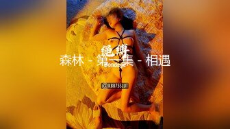 森林 - 第一集 - 相遇