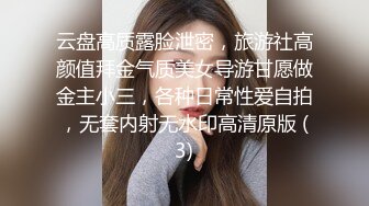 云盘高质露脸泄密，旅游社高颜值拜金气质美女导游甘愿做金主小三，各种日常性爱自拍，无套内射无水印高清原版 (3)