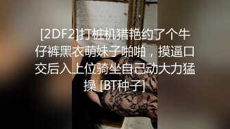 [2DF2]打桩机猎艳约了个牛仔裤黑衣萌妹子啪啪，摸逼口交后入上位骑坐自己动大力猛操 [BT种子]