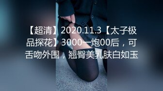 【超清】2020.11.3【太子极品探花】3000一炮00后，可舌吻外围，翘臀美乳肤白如玉