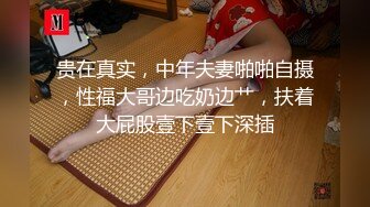 某收费网站流出-艺术院校文艺范气质美女宾馆和男友开房没满足男友吃鸡巴