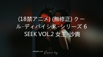 (18禁アニメ) (無修正) クール･ディバイシス･シリーズ 6 SEEK VOL.2 女王･沙貴