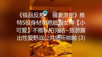 《极品反差㊙️骚妻泄密》推特S级身材美艳翘臀女神【小可爱】不雅私拍完结~旅游露出性爱野战公共场所啪啪 (3)