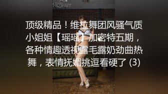 顶级精品！维拉舞团风骚气质小姐姐【瑶瑶】加密特五期，各种情趣透视露毛露奶劲曲热舞，表情抚媚挑逗看硬了 (3)