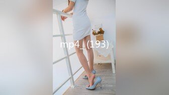 mp4_ (193)