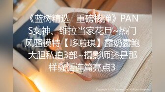 《蓝树精选✅重磅核弹》PANS女神、维拉当家花旦~热门风骚模特【哆啦琪】露奶露鲍大胆私拍3部~摄影师还是那样骚话连篇亮点3