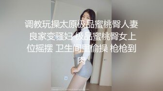 调教玩操太原极品蜜桃臀人妻 良家变骚妇 极品蜜桃臀女上位摇摆 卫生间里偷操 枪枪到肉