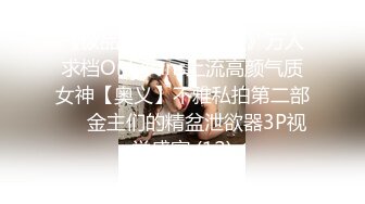 《极品反差婊☀️私拍》万人求档OnlyFans上流高颜气质女神【奥义】不雅私拍第二部☀️金主们的精盆泄欲器3P视觉盛宴 (12)