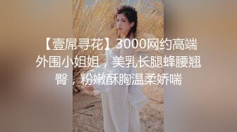 【壹屌寻花】3000网约高端外围小姐姐，美乳长腿蜂腰翘臀，粉嫩酥胸温柔娇喘