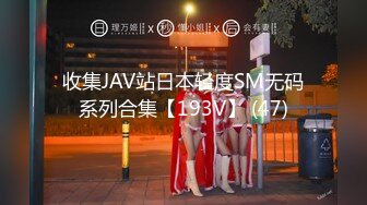 91经典系列资源整理合集P1【56V】 (13)