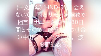 (中文字幕) [HND-931] 会えない女上司とリモート調教で相互オナニーを続けた30日間とその後、欲望をぶつけ合い中出しセックスした。 波多野結衣