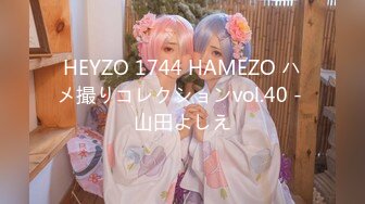 HEYZO 1744 HAMEZO ハメ撮りコレクションvol.40 - 山田よしえ