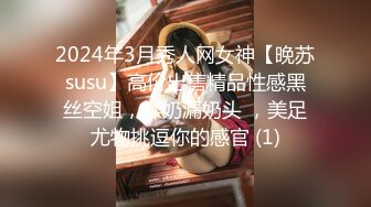 2024年3月秀人网女神【晚苏susu】高价出售精品性感黑丝空姐，揉奶漏奶头 ，美足尤物挑逗你的感官 (1)