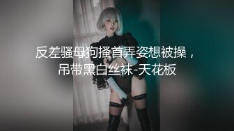 反差骚母狗搔首弄姿想被操，吊带黑白丝袜-天花板